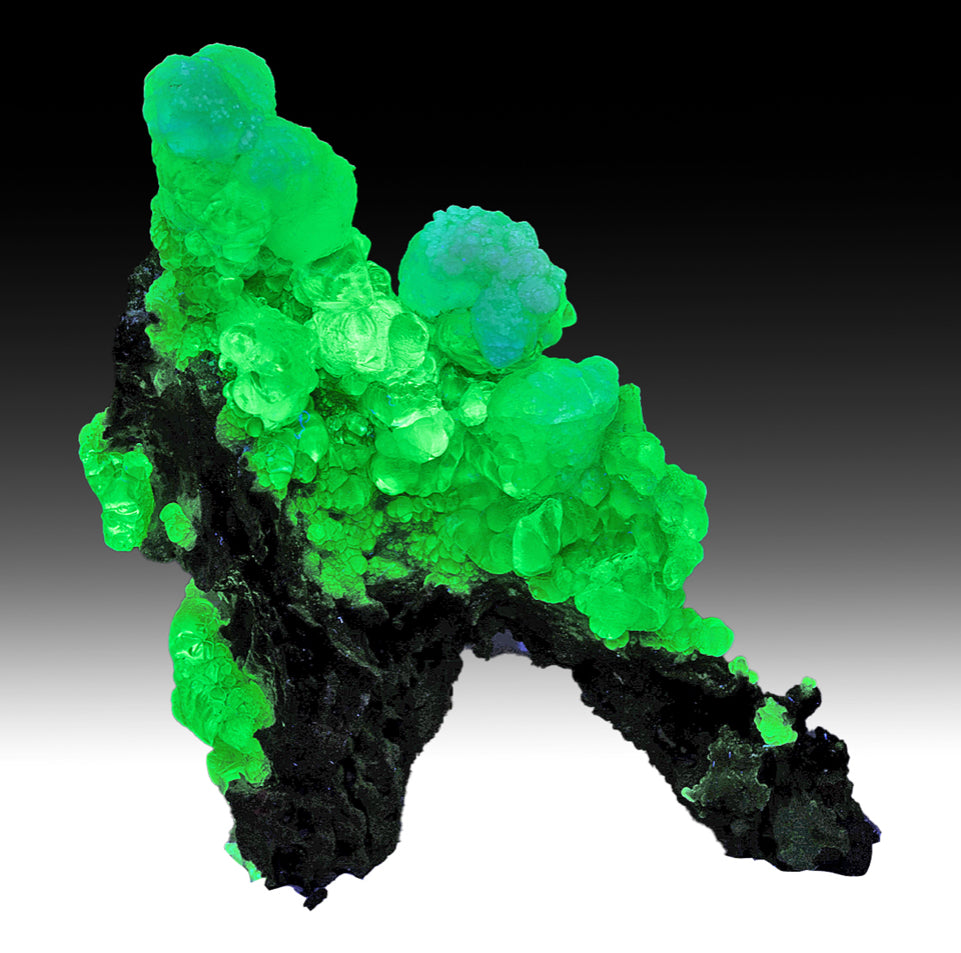 Opal-An with Aragonite