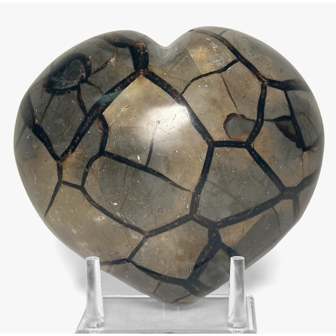 Septarian Geode (AAA Grade)