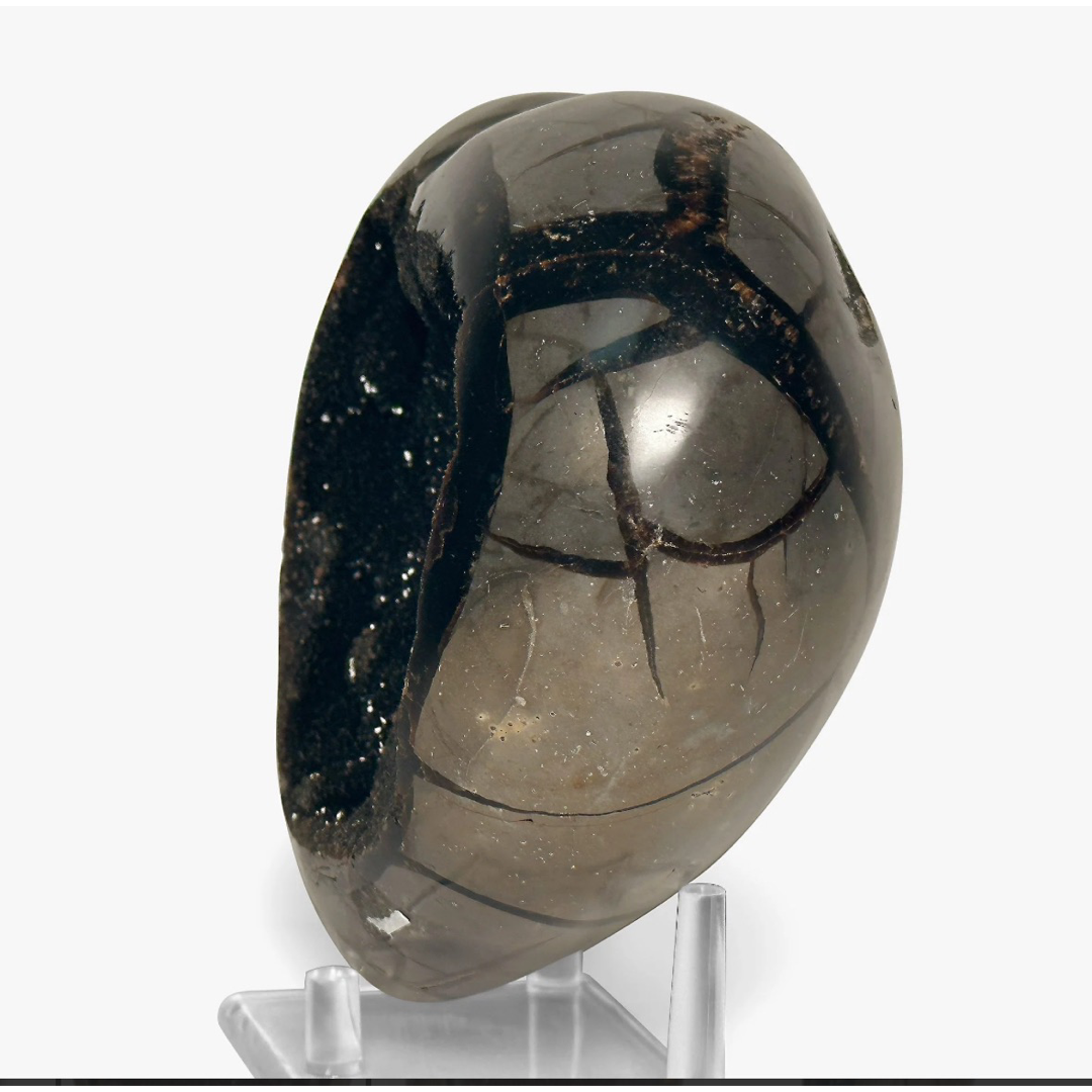 Septarian Geode (AAA Grade)