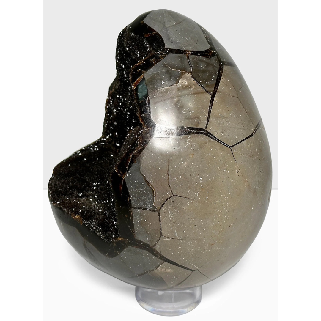 Septarian Geode (AAA Grade)