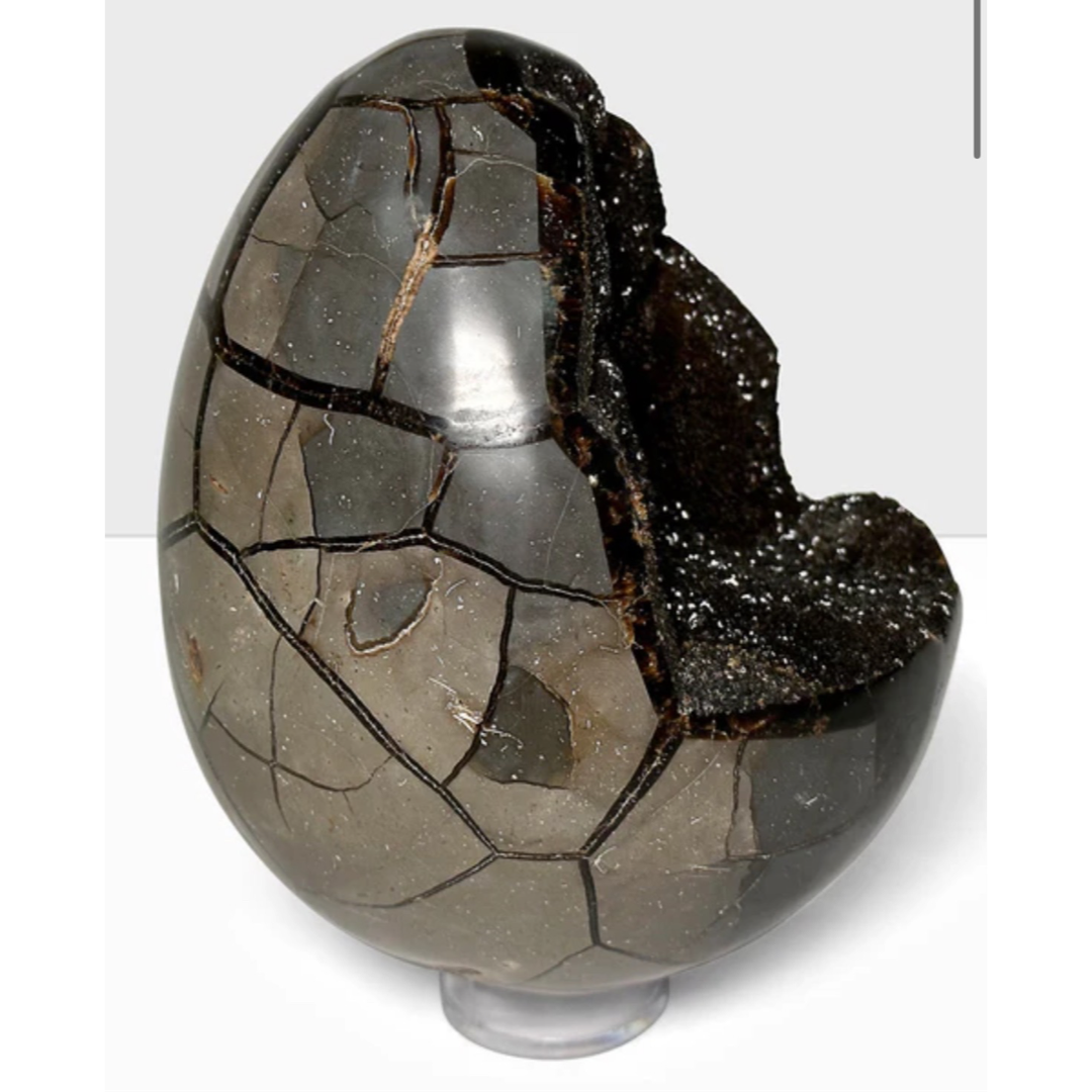 Septarian Geode (AAA Grade)