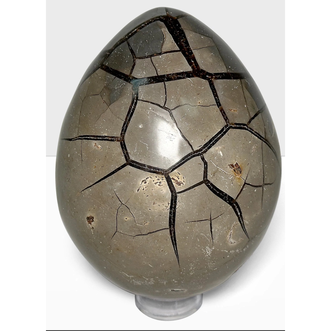 Septarian Geode (AAA Grade)