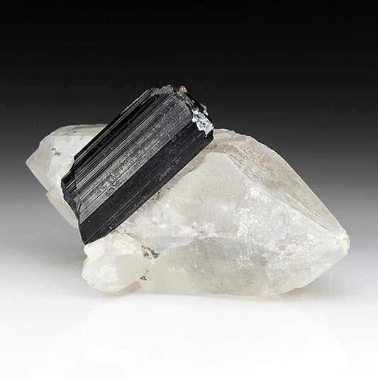 Schorl with Quartz, Gilgit-Baltistan, Pakistan (small-cabinet)