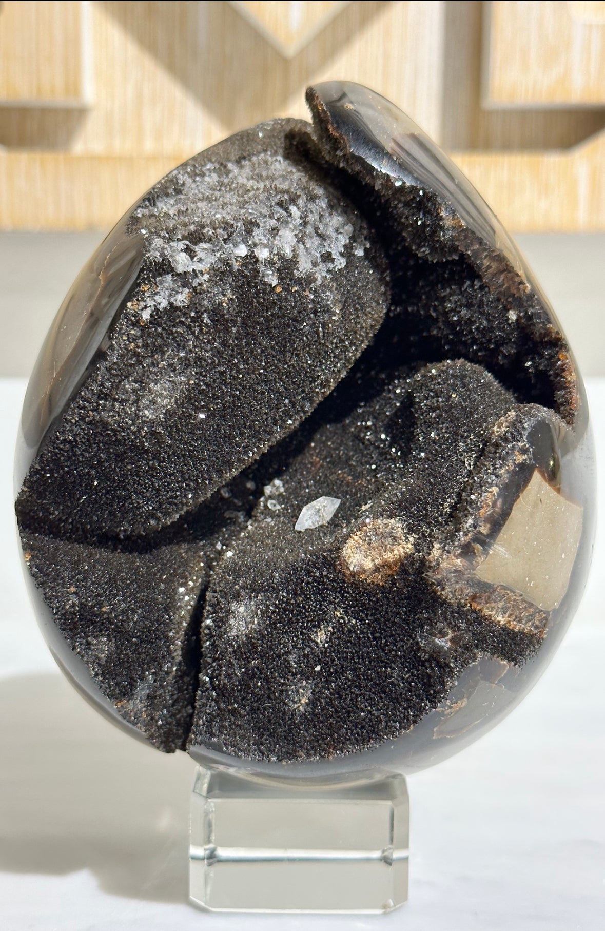 Septarian Geode (AAA Grade)